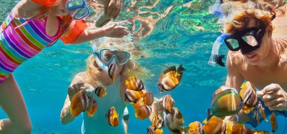 Snorkeling Trip At Port Ghalib Marina From Marsa Alam