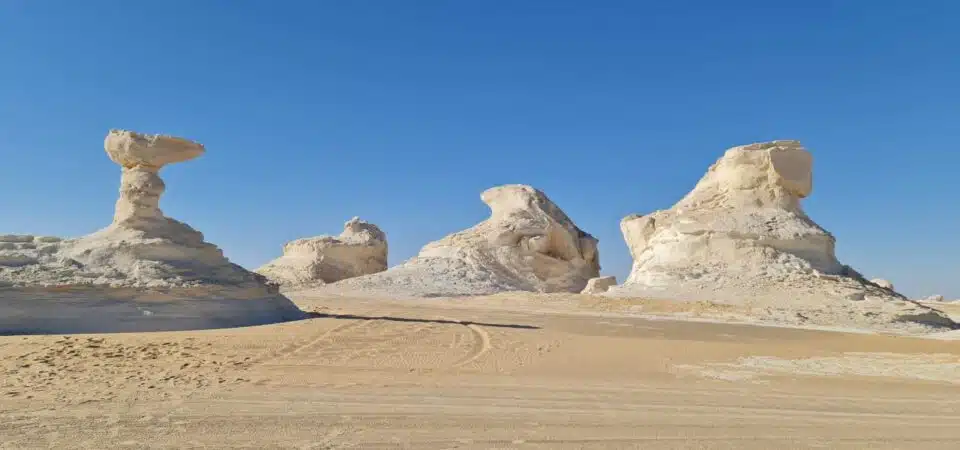 Overnight White Desert Safari Camping From Cairo